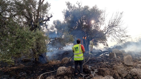 שריפה ביער שוהם - חדשות בשוהם
