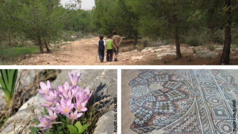  עונת הסיורים המודרכים ביער קהילתי שוהם יוצאת לדרך - תרבות הפנאי  בשוהם