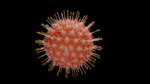  3 מאומתים לזן האומיקרון בשוהם - חדשות בשוהם