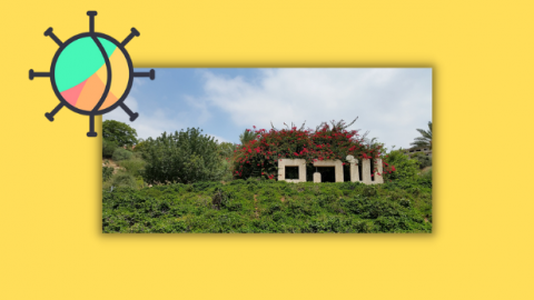 שוהם צהובה - חדשות בשוהם