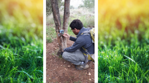 סקר טבע עירוני בשוהם יצא לדרך - חדשות בשוהם