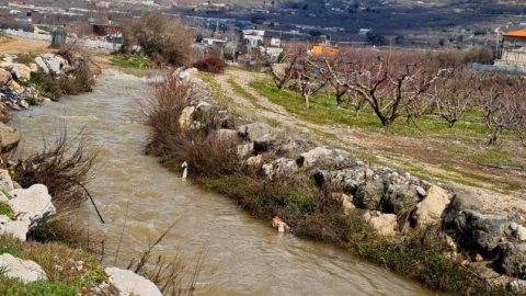 פסטיבל נחל סער  - תרבות הפנאי  בשוהם