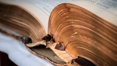 נוסטלגיה משפחית במיטבה - תרבות הפנאי  בשוהם