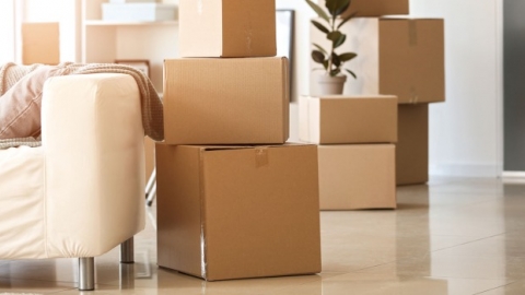 איך תשיגו קרטונים למעבר דירה במהירות - צרכנות  בשוהם