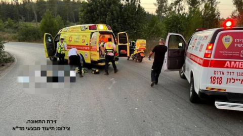 טרגדיה: שני חיים, תושב שוהם, נהרג אתמול מפגיעת רכב - חדשות בשוהם