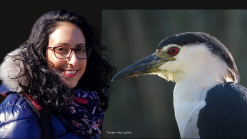  ציפור נפשה - כתבות מגזין  בשוהם