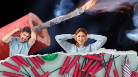 סיירת מתנדבים בשוהם למאבק בתופעת הנפצים בפורים - חדשות בשוהם