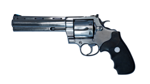  שוהם קיבלה הכרה כ"יישוב זכאי" לנשיאת נשק - חדשות בשוהם