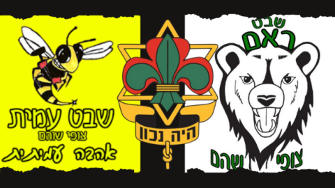 שתי ראשות שבטי הצופים בשוהם הודחו מתפקידן ללא הסבר - חדשות בשוהם